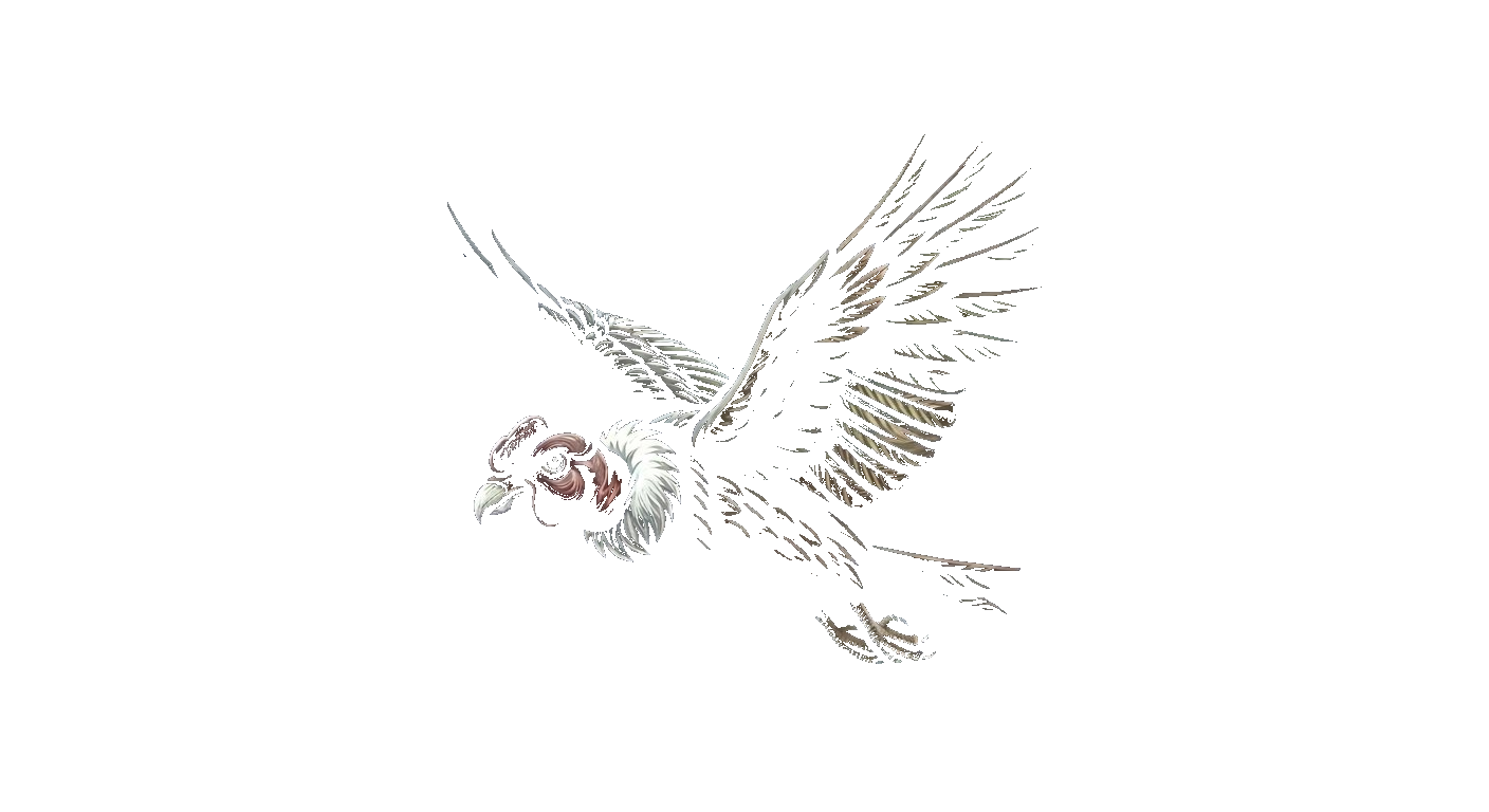 Condor360